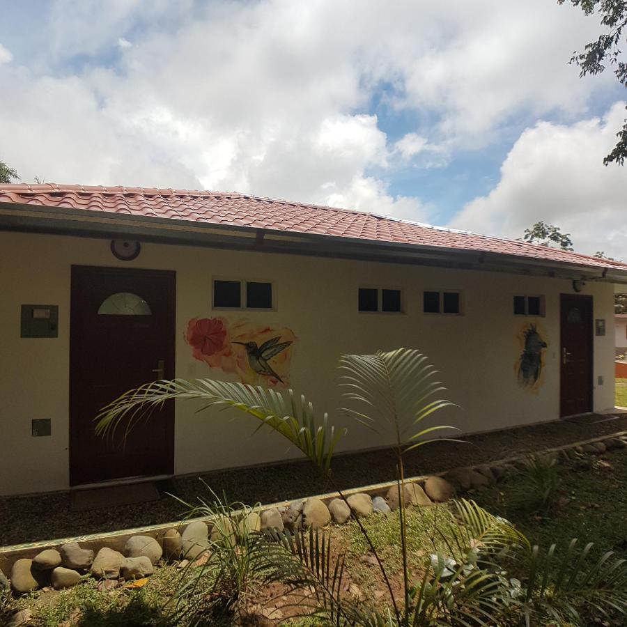 Magic Mountain Lodge Las Lajas  Exterior photo