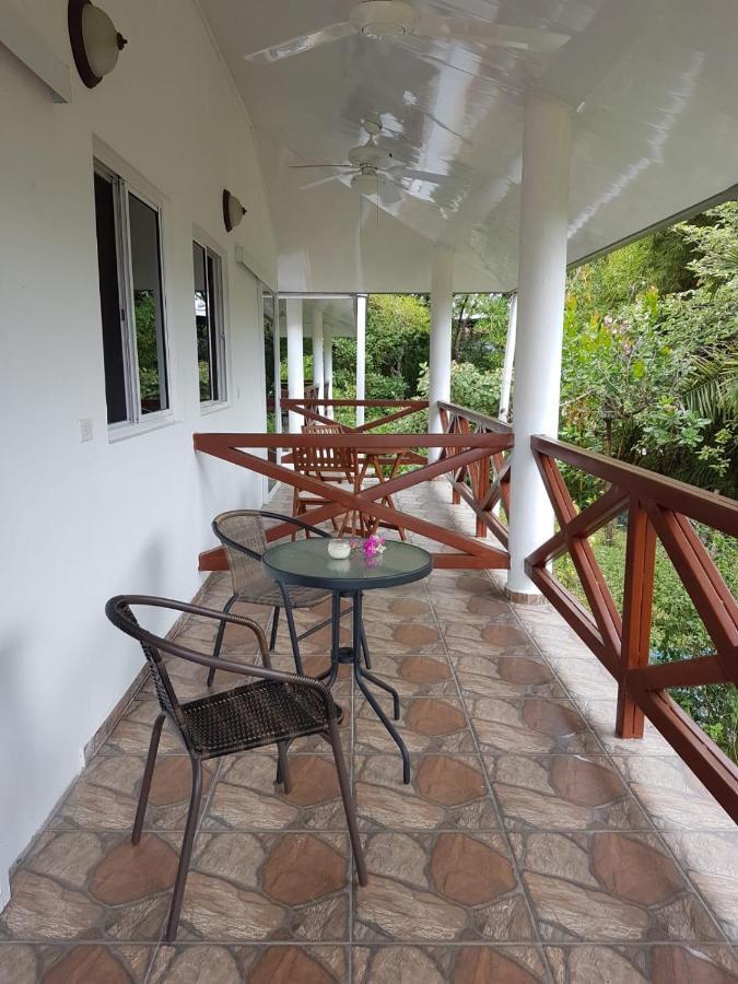 Magic Mountain Lodge Las Lajas  Exterior photo